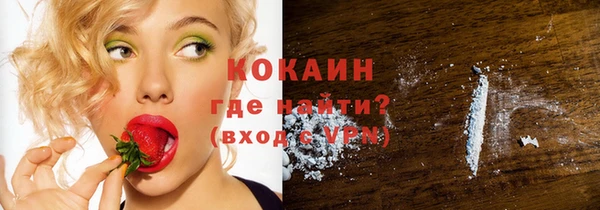 крисы Богородицк