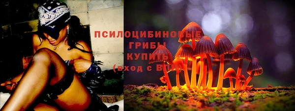 MESCALINE Аркадак
